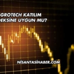 Agrotech Katılım Endeksine Uygun mu?