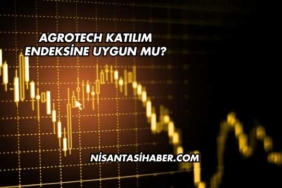 Agrotech Katılım Endeksine Uygun mu?