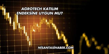 Agrotech Katılım Endeksine Uygun mu?
