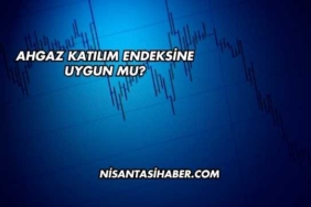 Ahgaz Katılım Endeksine Uygun mu?
