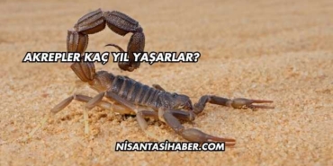 Akrepler Kaç Yıl Yaşarlar?