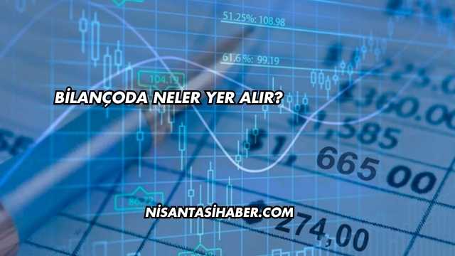 Bilançoda Neler Yer Alır?