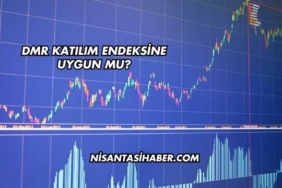 Dmr Katılım Endeksine Uygun mu?