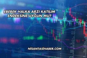 Ebebek Halka Arzı Katılım Endeksine Uygun mu?