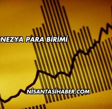 Endonezya Para Birimi