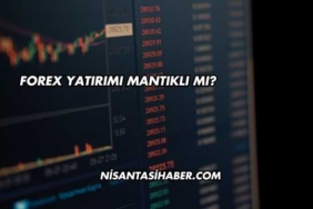 Forex Yatırımı Mantıklı mı?