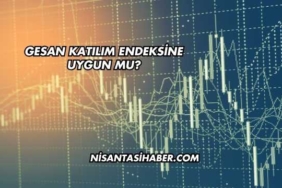 GESAN Katılım Endeksine Uygun mu?