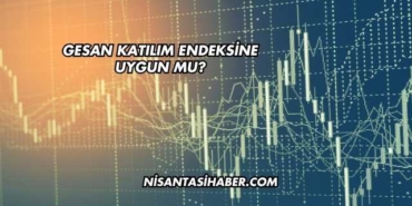 GESAN Katılım Endeksine Uygun mu?