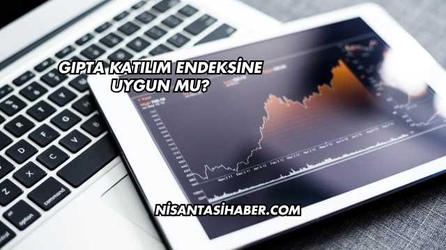 Gıpta Katılım Endeksine Uygun mu?