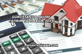 Gürcistan'da Nelere Yatırım Yapılabilir 2025