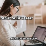 Medya Nedir? Ne İşe Yarar?