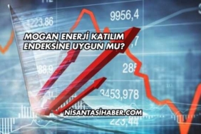 Mogan Enerji Katılım Endeksine Uygun mu?