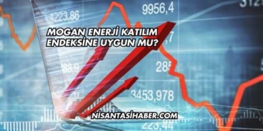 Mogan Enerji Katılım Endeksine Uygun mu?