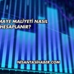 Özsermaye Maliyeti Nasıl Hesaplanır?