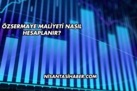 Özsermaye Maliyeti Nasıl Hesaplanır?