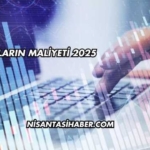 Satışların Maliyeti 2025