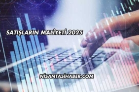 Satışların Maliyeti 2025