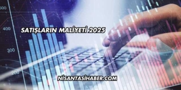 Satışların Maliyeti 2025