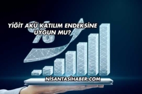 Yiğit Akü Katılım Endeksine Uygun mu?