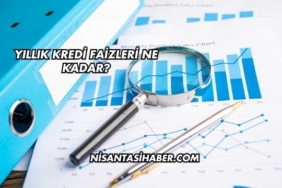 Yıllık Kredi Faizleri Ne Kadar?