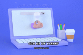 CDN Ne İşe Yarar?