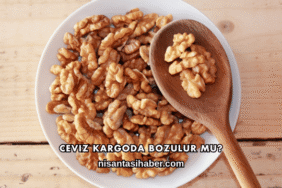 Ceviz Kargoda Bozulur mu?