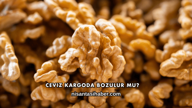 Ceviz Kargoda Bozulur mu?
