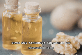 Ceviz Sos Yapımında Kullanılır mı?