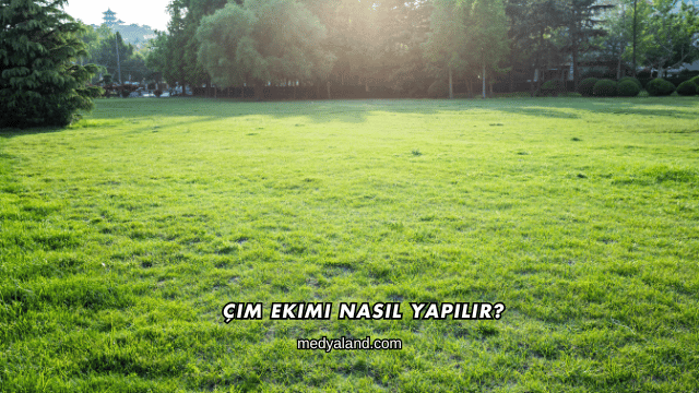 Çim Ekimi Nasıl Yapılır?