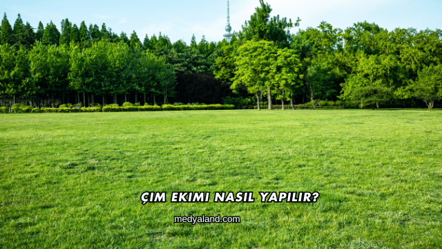 Çim Ekimi Nasıl Yapılır?