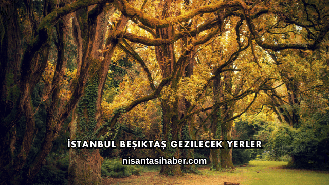 İstanbul Beşiktaş Gezilecek Yerler