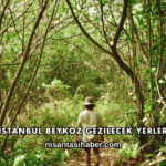 İstanbul Beykoz Gezilecek Yerler