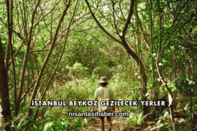 İstanbul Beykoz Gezilecek Yerler