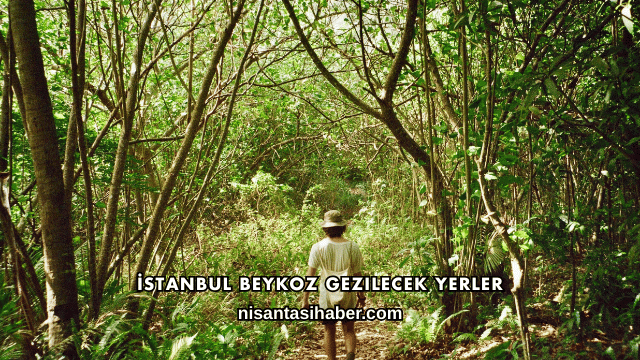 İstanbul Beykoz Gezilecek Yerler