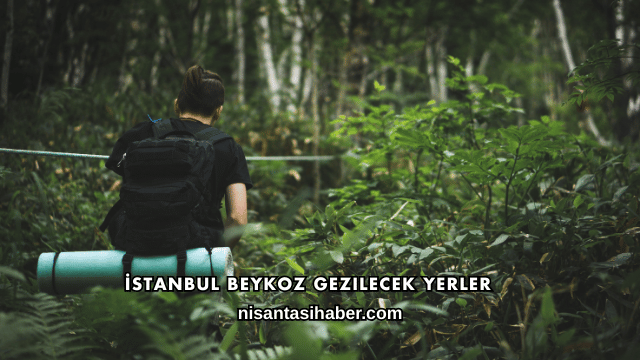 İstanbul Beykoz Gezilecek Yerler