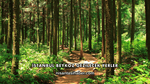 İstanbul Beykoz Gezilecek Yerler