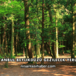 İstanbul Beylikdüzü Gezilecek Yerler