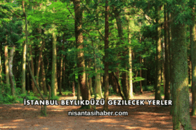 İstanbul Beylikdüzü Gezilecek Yerler