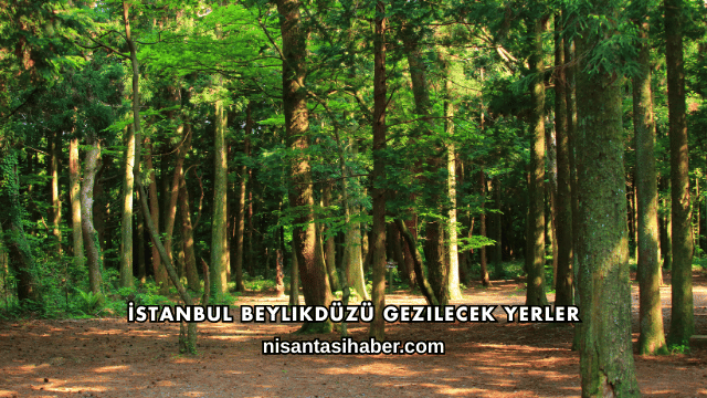 İstanbul Beylikdüzü Gezilecek Yerler