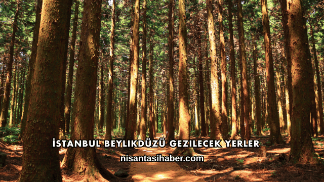 İstanbul Beylikdüzü Gezilecek Yerler