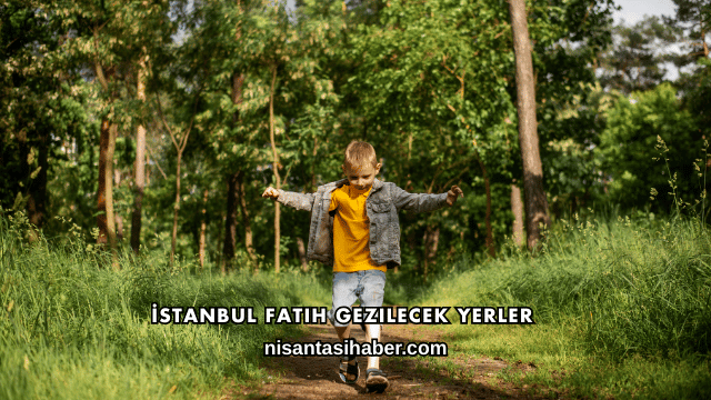 İstanbul Fatih Gezilecek Yerler