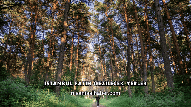 İstanbul Fatih Gezilecek Yerler