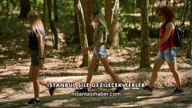 İstanbul Şile Gezilecek Yerler
