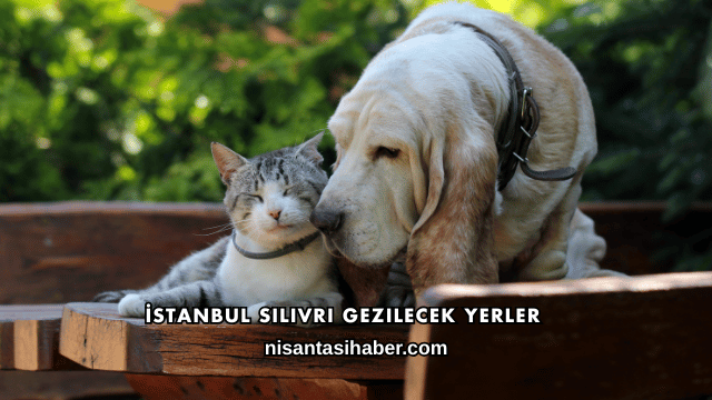 İstanbul Silivri Gezilecek Yerler