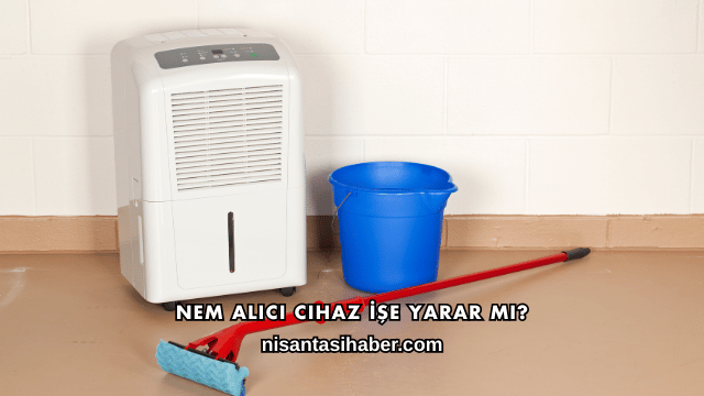 Nem Alıcı Cihaz İşe Yarar mı?