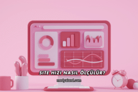 Site Hızı Nasıl Ölçülür?