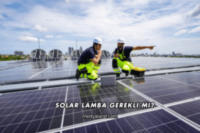 Solar Lamba Gerekli mi?